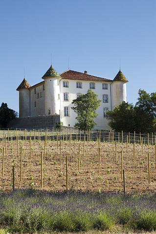 081 La Palud sur Verdon.jpg